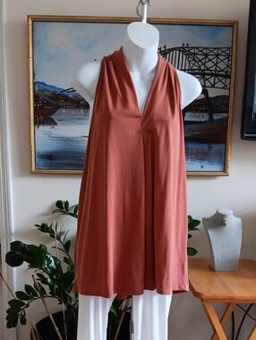 Green Envelope Rust Halter Crop Top